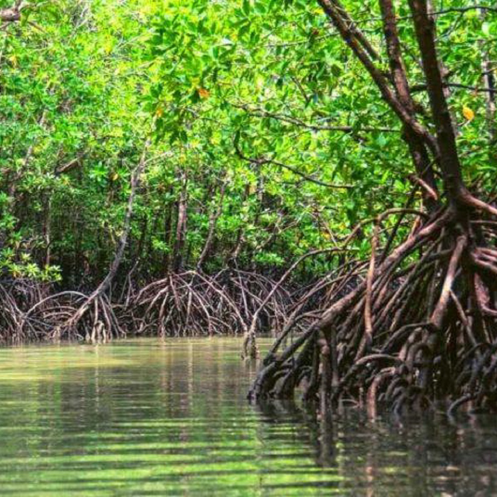 Buki Digital Nobo Na Papiamento 160 Cov Mondi Di Mangel Na Rescate Gina Ramsbottom.6
