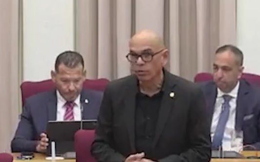 Parlamentario Di Ppa Otmar Oduber