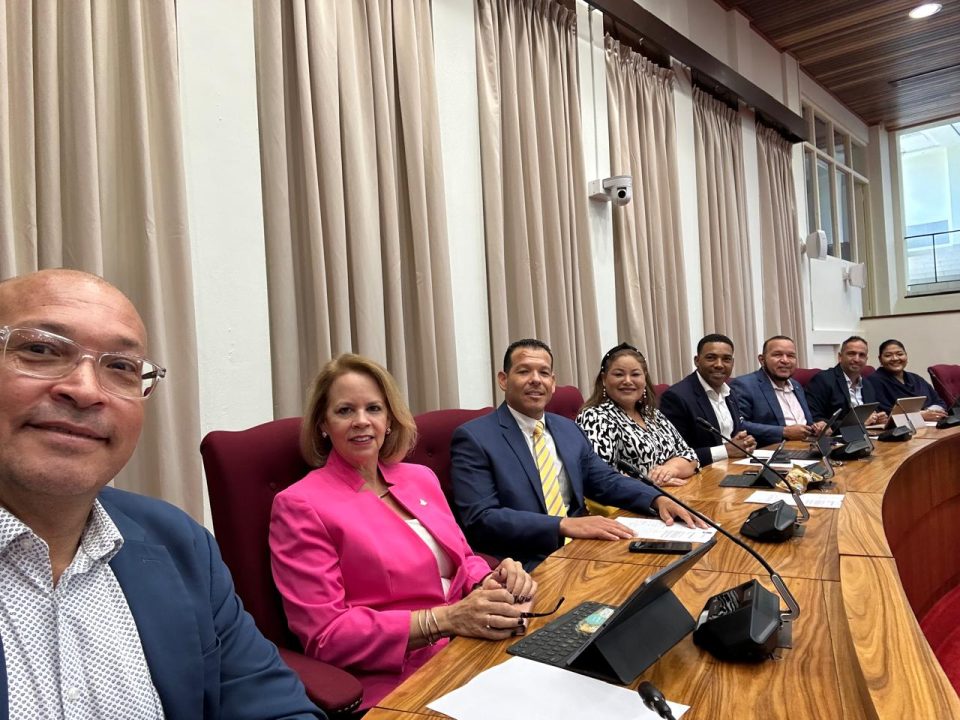 Partido Futuro Ta E Partido Politico Mas Tradicional Na Aruba