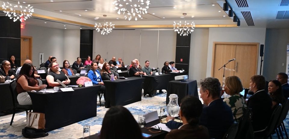 Miembronan Nobo Di Directiva.3