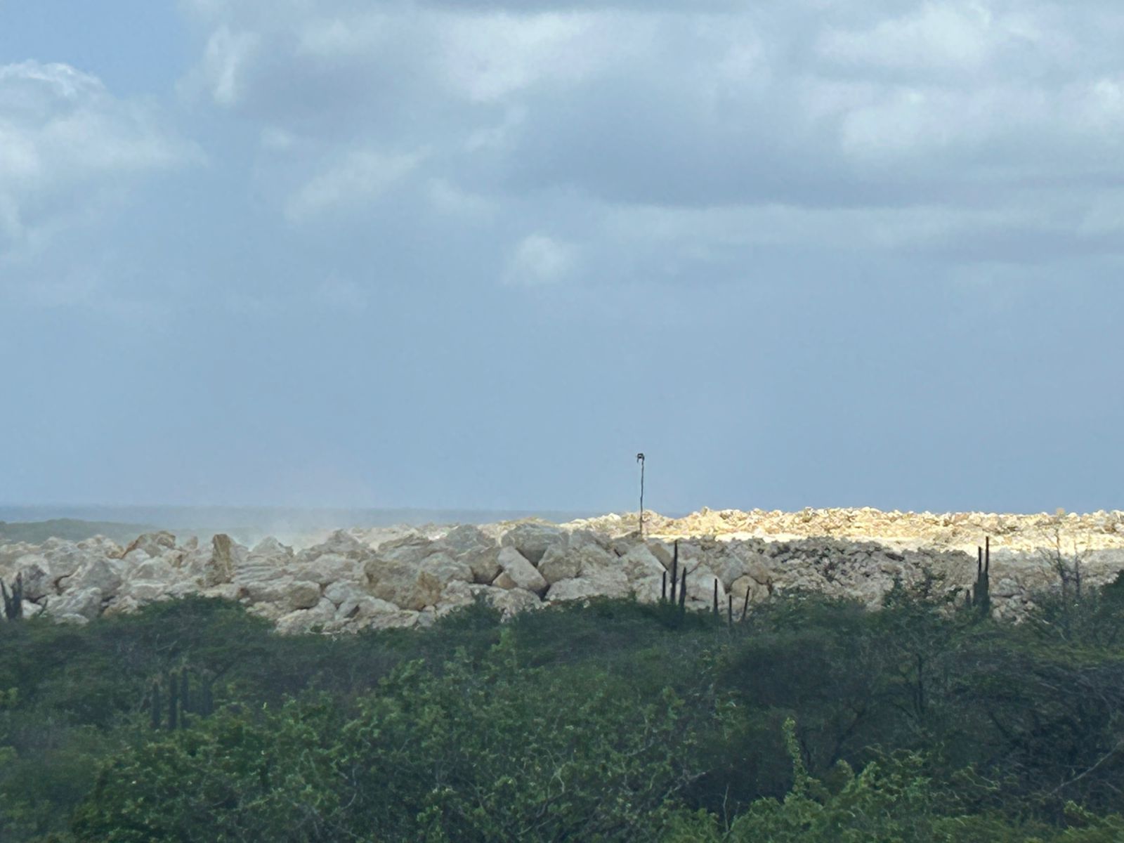 Whatsapp Image 2025 07 03 At 8.58.11 Am 2