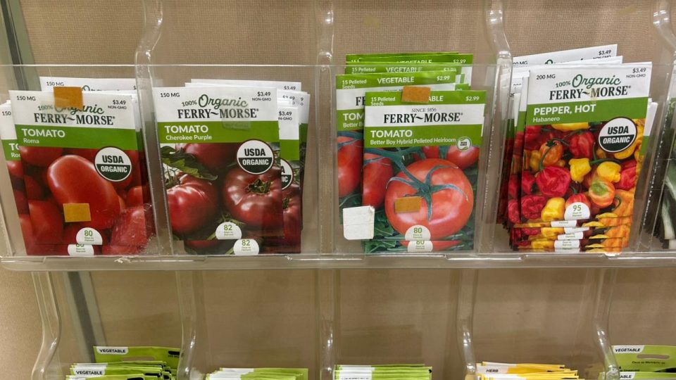 Whatsapp Image 2025 07 07 At 11.04.08 1278C2E4