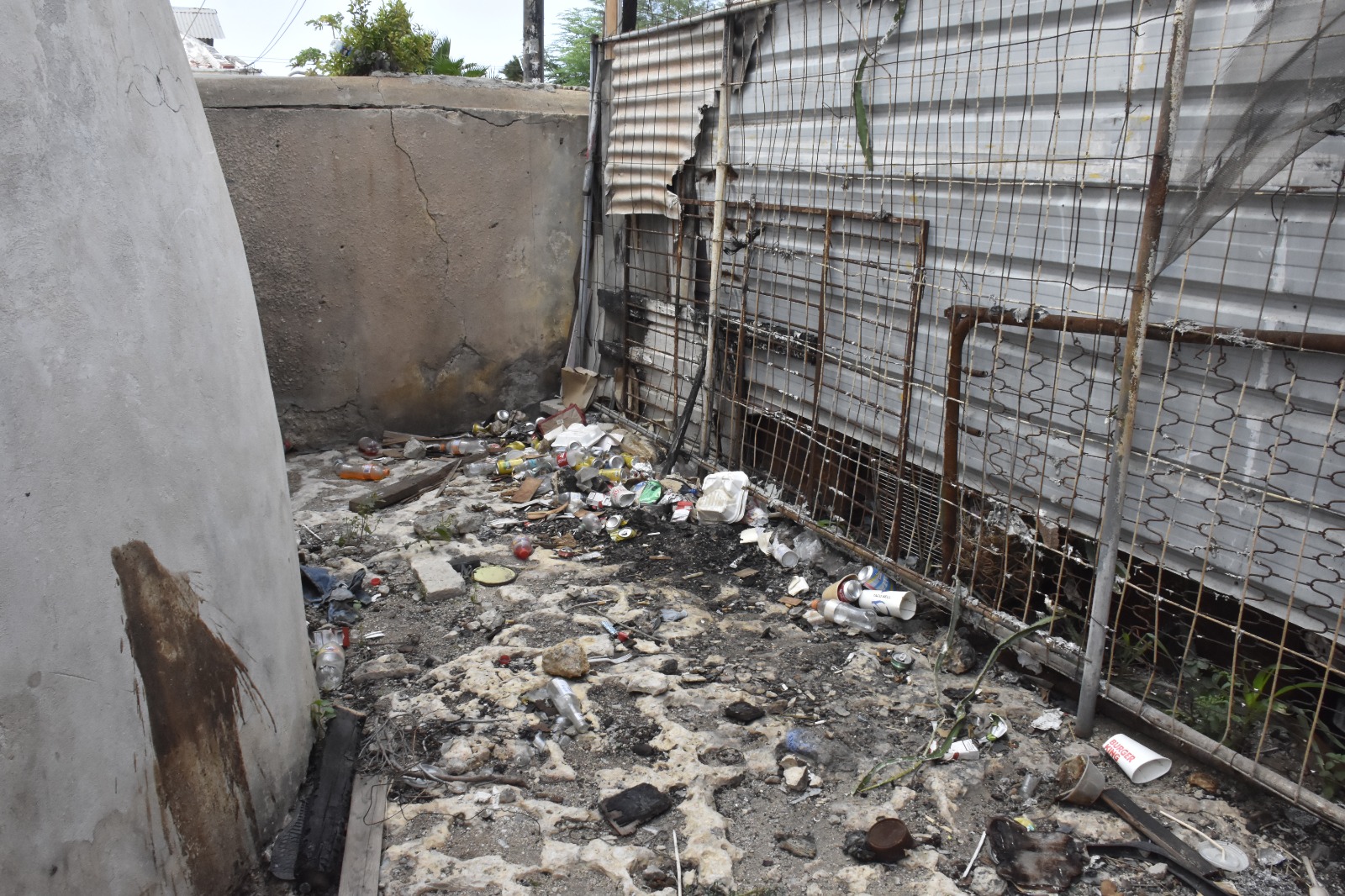 Whatsapp Image 2025 07 30 At 3.48.29 Am 1