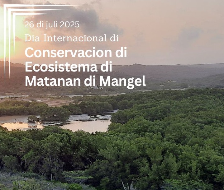 Mangrove Day 1