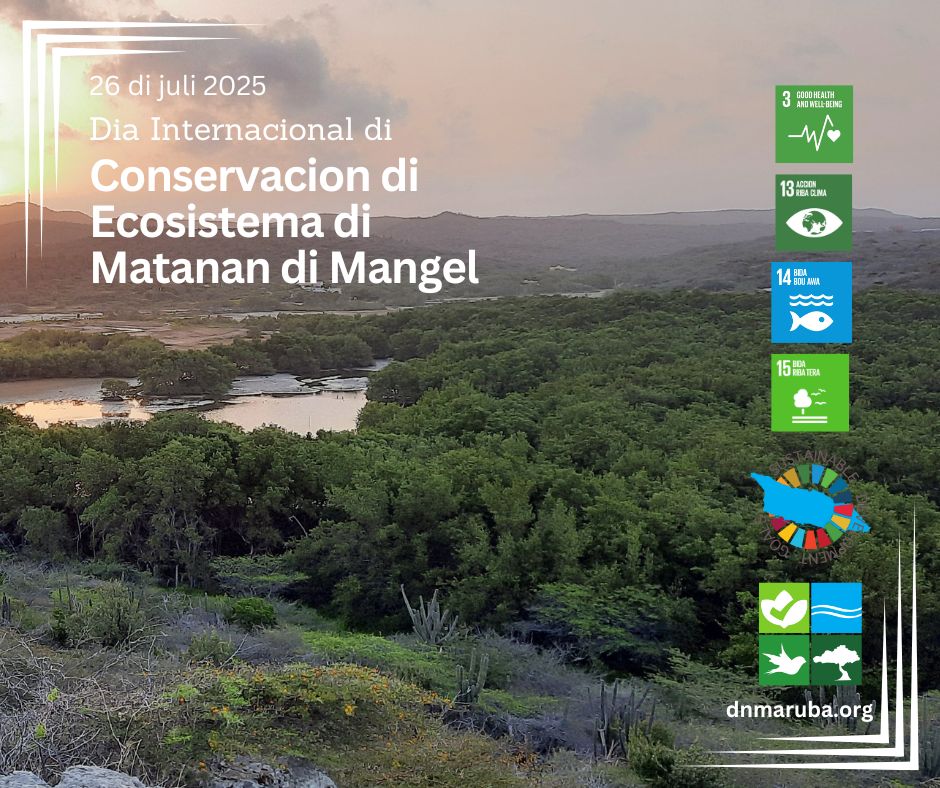 Mangrove Day