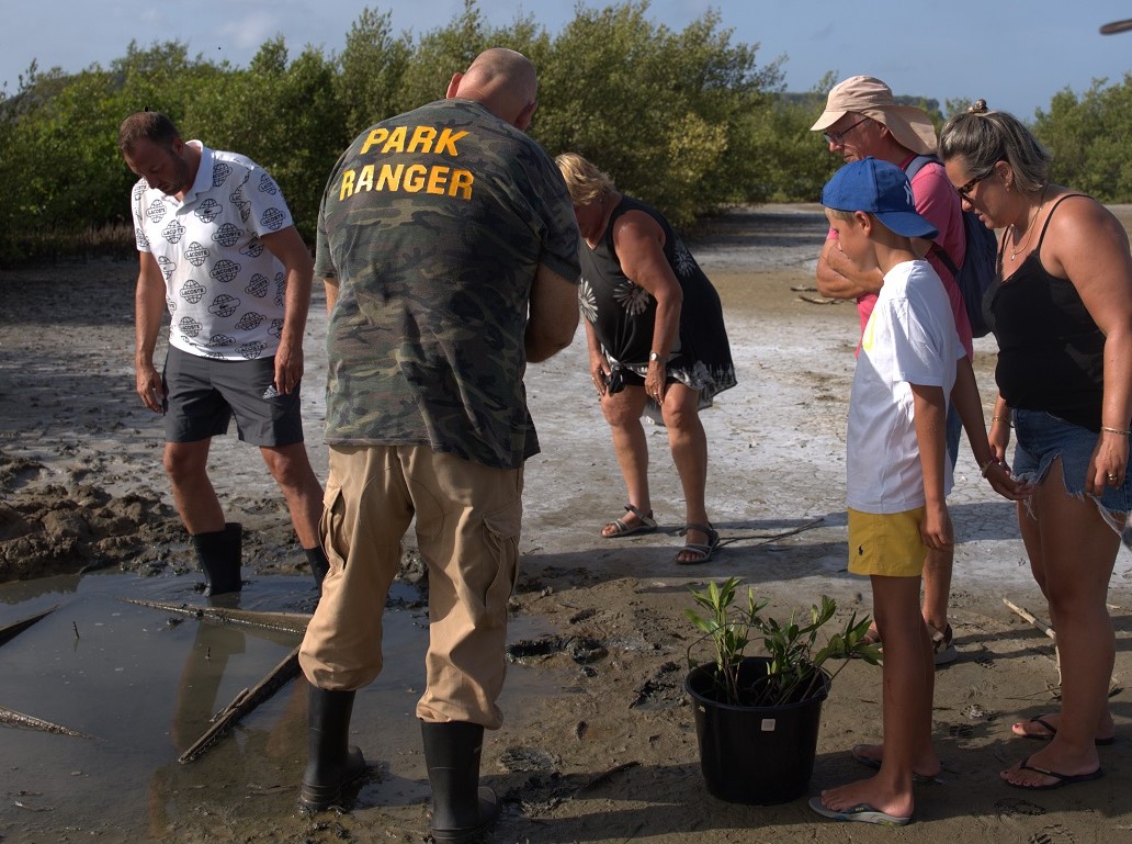 By June Ta Aporta Carmabi Ku Kontribushon Pa Konservashon Di Naturalesa Na Kòrsouby June Ta Aporta Carmabi Ku Kontribushon Pa Konservashon Di Naturalesa Na Kòrsou 162 Mangrove 002