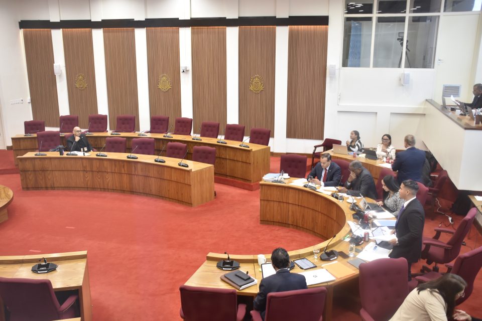 Parlamento Di Aruba 100