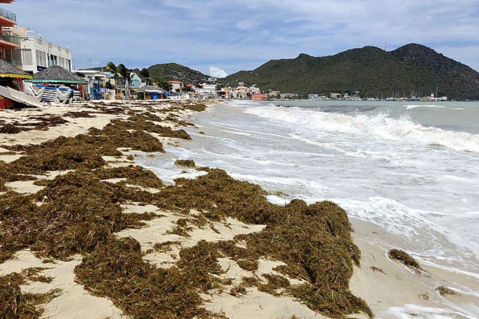 Whatsapp Image 2025 08 18 At 11.31.18 Am