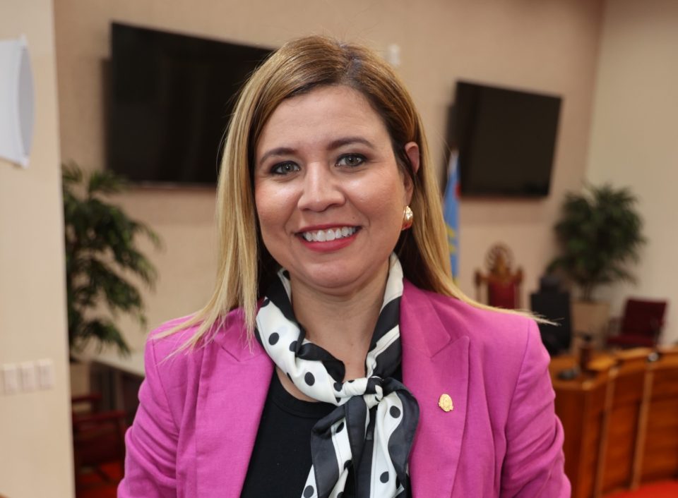 Parlamentario Jennifer Arends Reyes