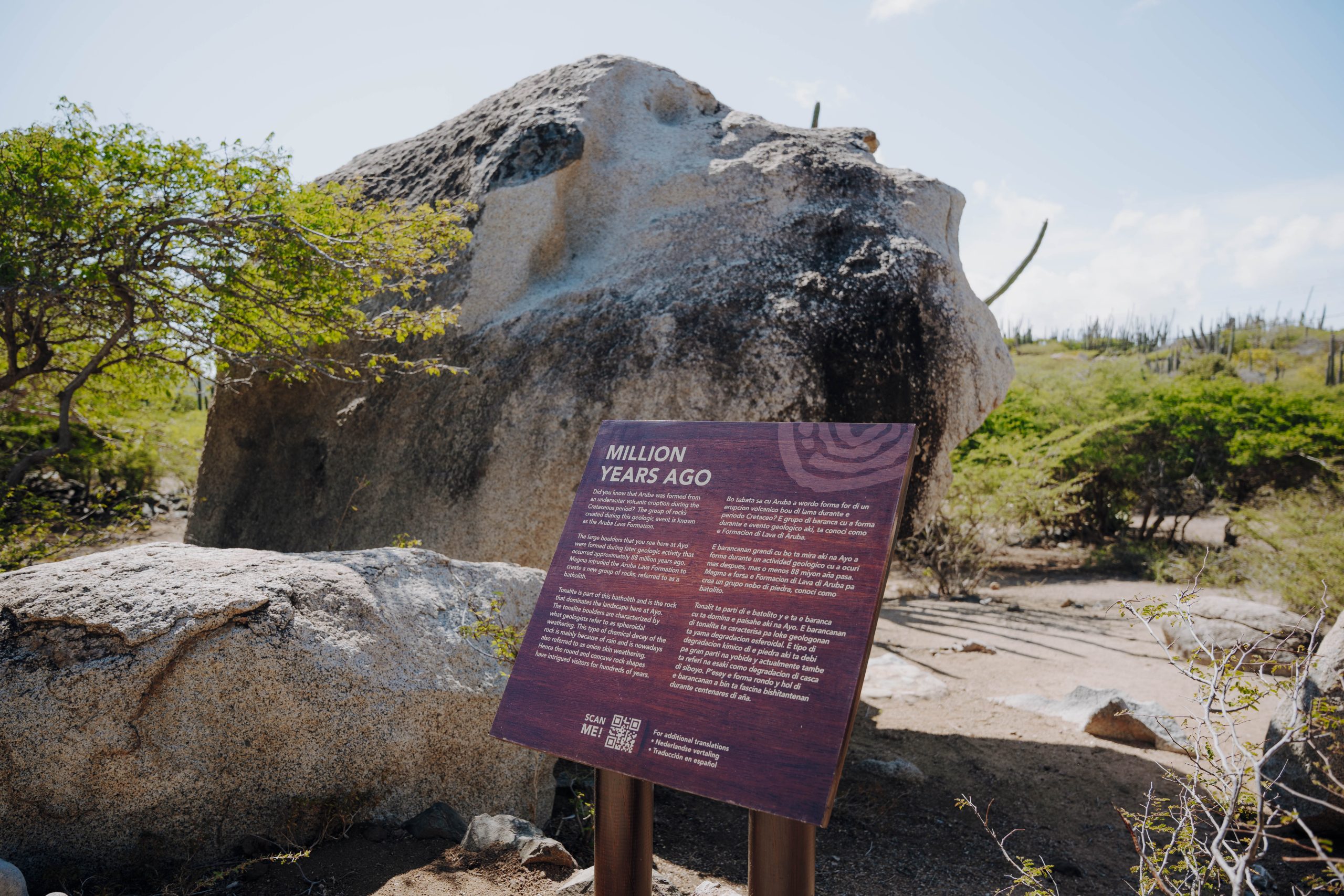 Ayo Rock F. 2 5 Scaled