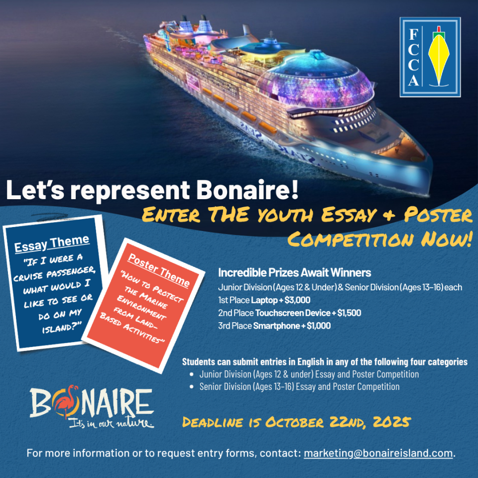 Fcca Essay Poster Competition Poster