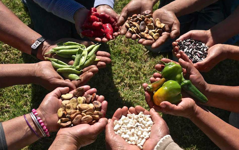 Movecion Mundial Y Agenda 2030 Ta Motibo Pa Tene Cuenta Cu Sobenaria Alimenticio Ta Hopi Importante