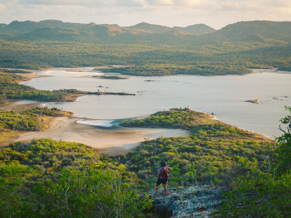 True Media Culture Hiker 18