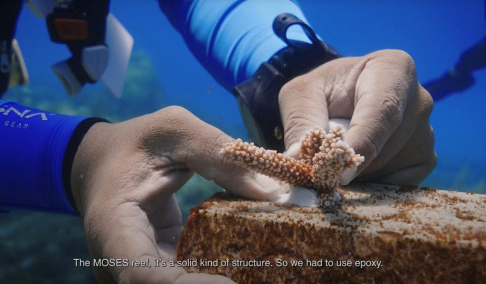 Whatsapp Image 2025 10 28 At 5.52.51 Pm