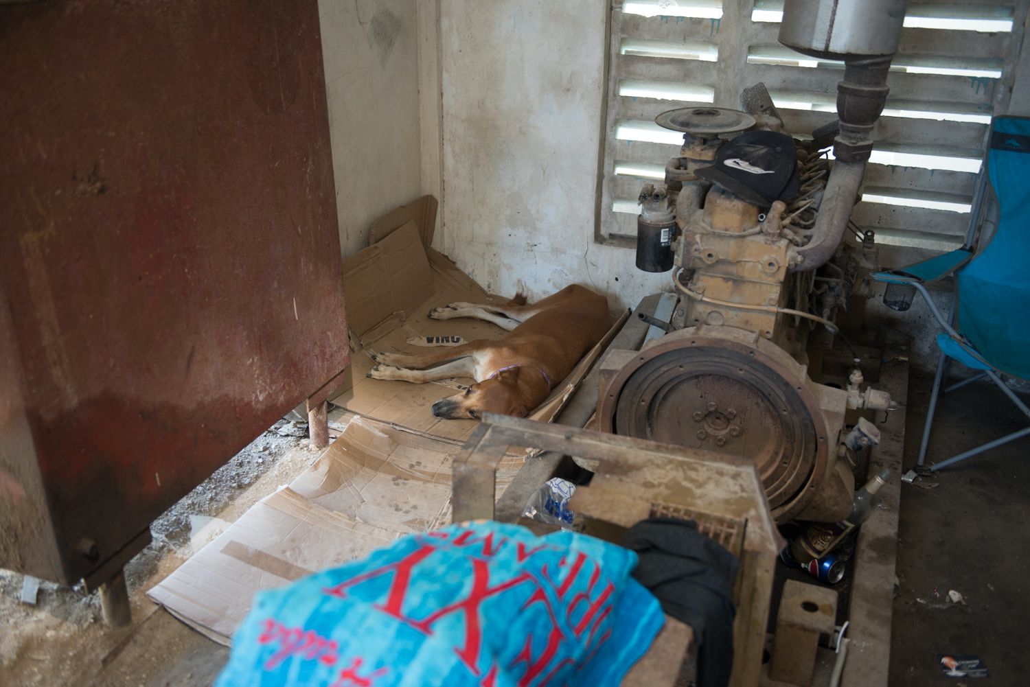 Whatsapp Image 2025 10 28 At 7.20.42 Pm