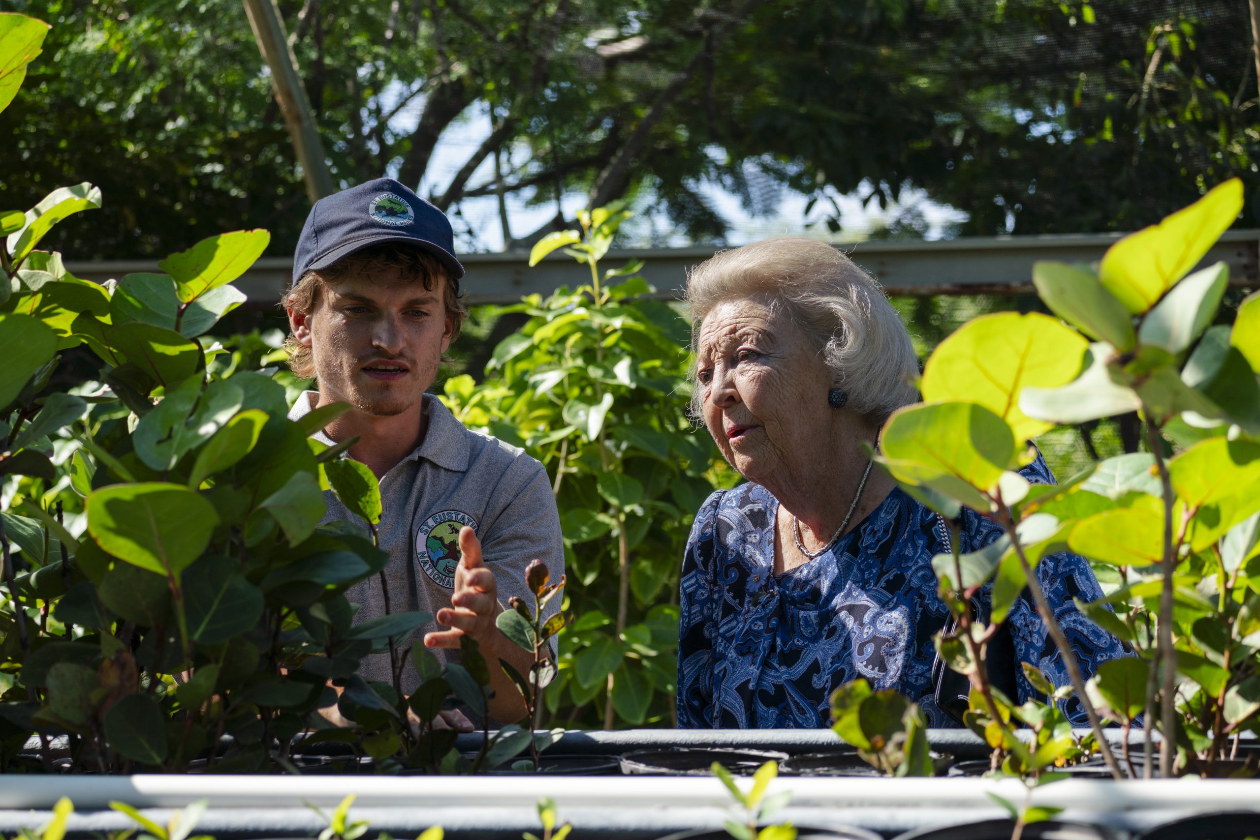 Princess Beatrix Highlights Nature Conservation And Community Initiatives On Bonaire And St. Eustatius 163 Princess Beatrix Visiting Reforestatia. Photo Credit Dcna And Jake Brass Scaled