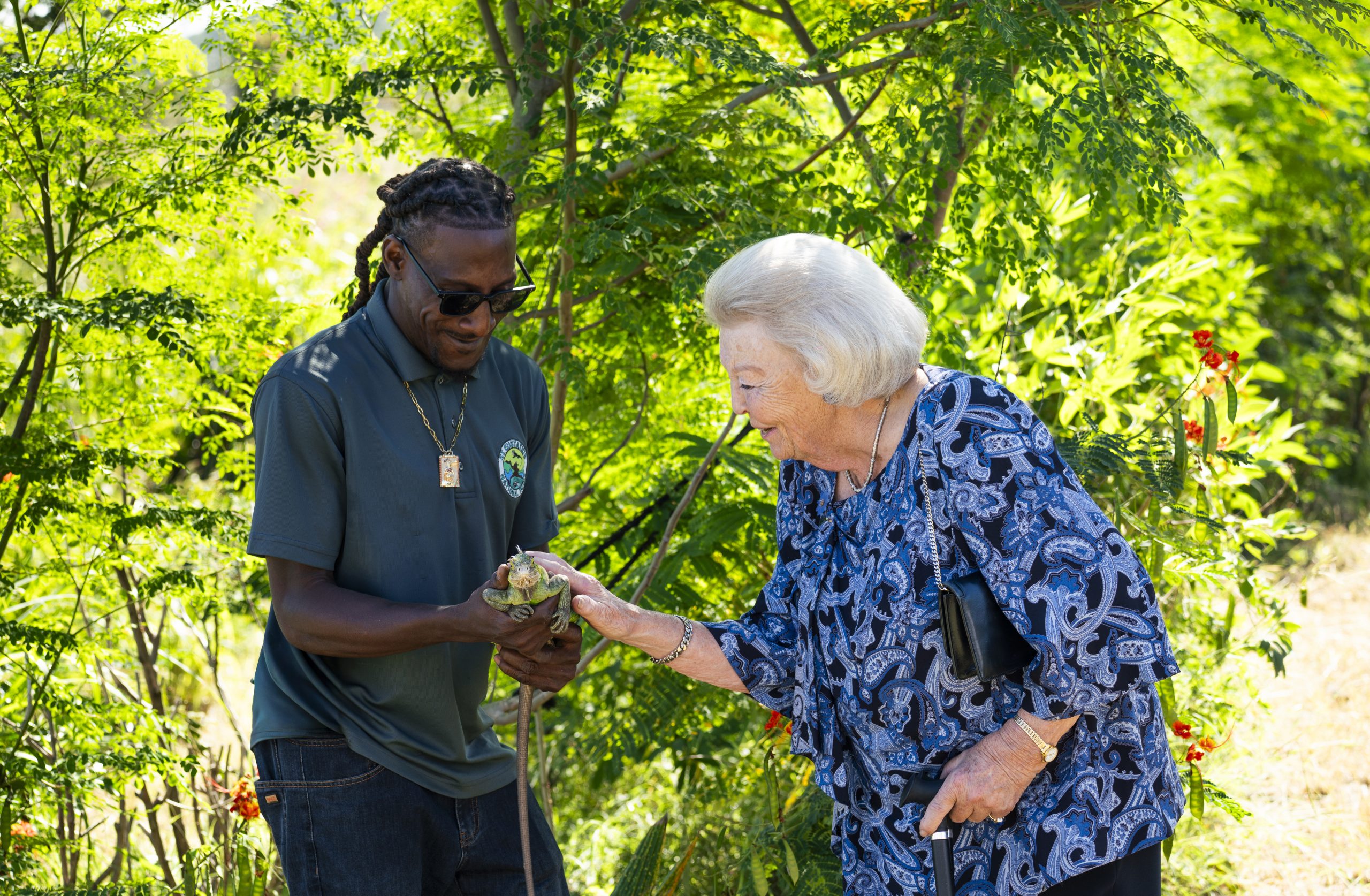 Princess Beatrix Highlights Nature Conservation And Community Initiatives On Bonaire And St. Eustatius 166 Princess Beatrix With The Lesser Antillean Iguana About To Be Released. Photo Credit Dcna And Jake Brass Scaled