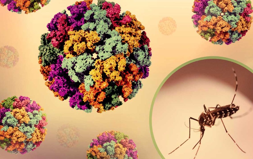 Prome Caso Di Chikungunya Confirma Na Saba