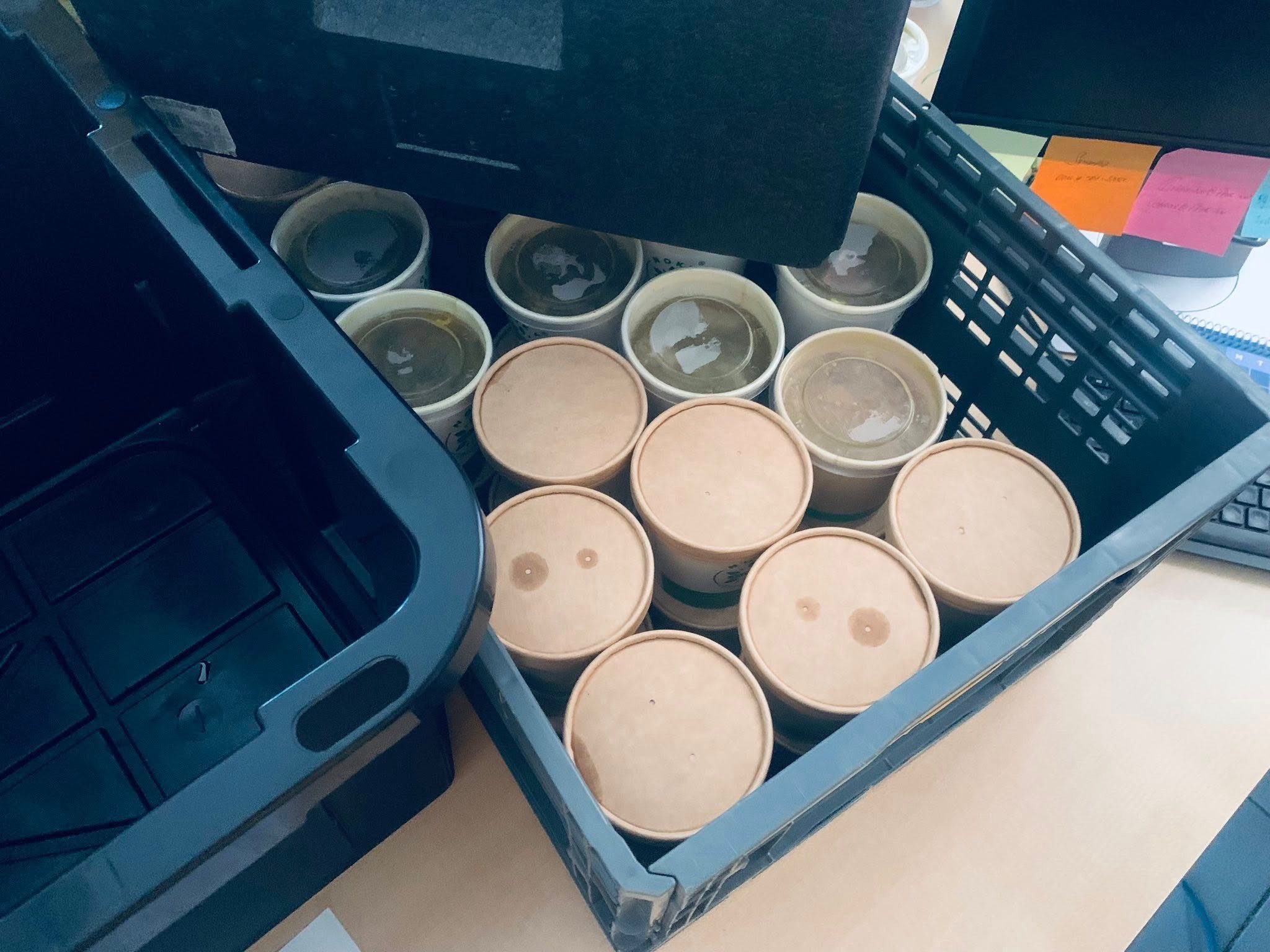 Whatsapp Image 2025 11 12 At 9.53.56 Pm 2