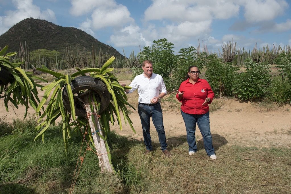 Whatsapp Image 2025 11 15 At 1.41.37 Am 1