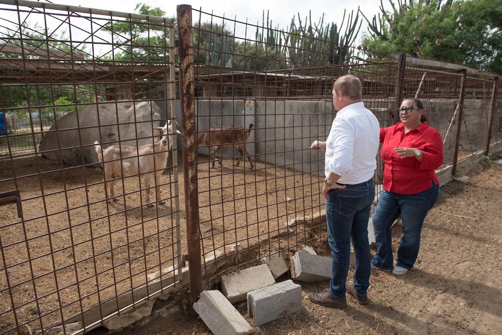 Whatsapp Image 2025 11 15 At 1.41.38 Am 4