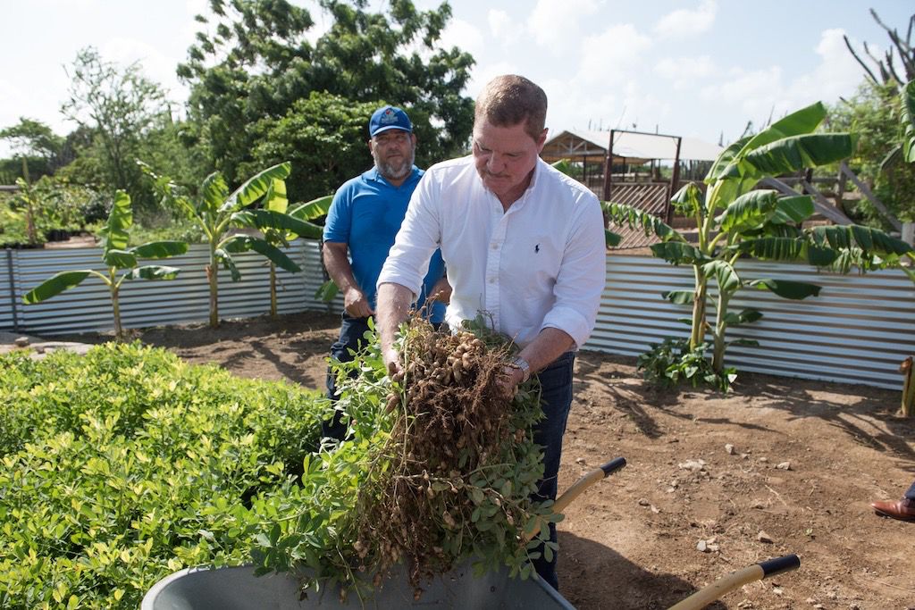 Whatsapp Image 2025 11 15 At 1.41.39 Am 1