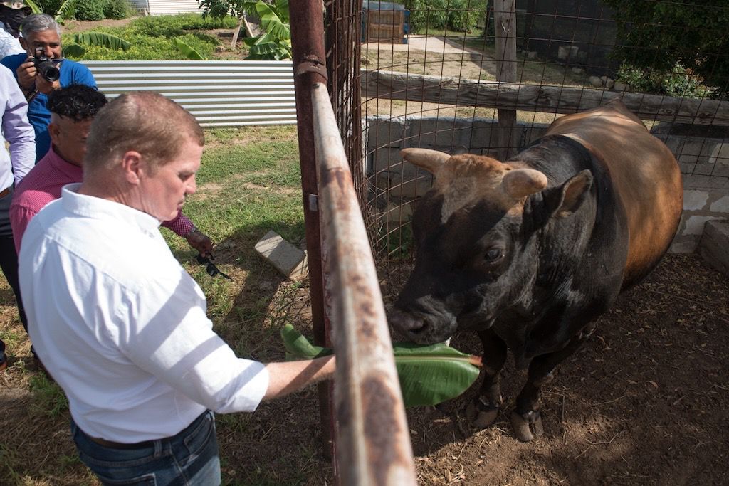 Whatsapp Image 2025 11 15 At 1.41.40 Am 2