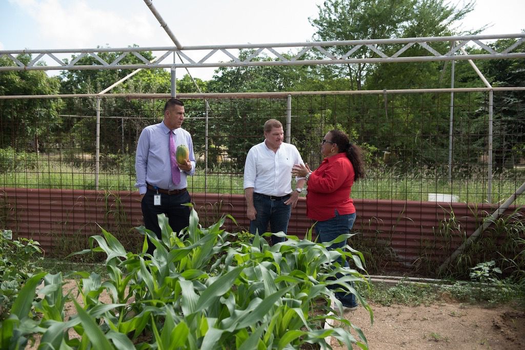 Whatsapp Image 2025 11 15 At 1.41.40 Am 5