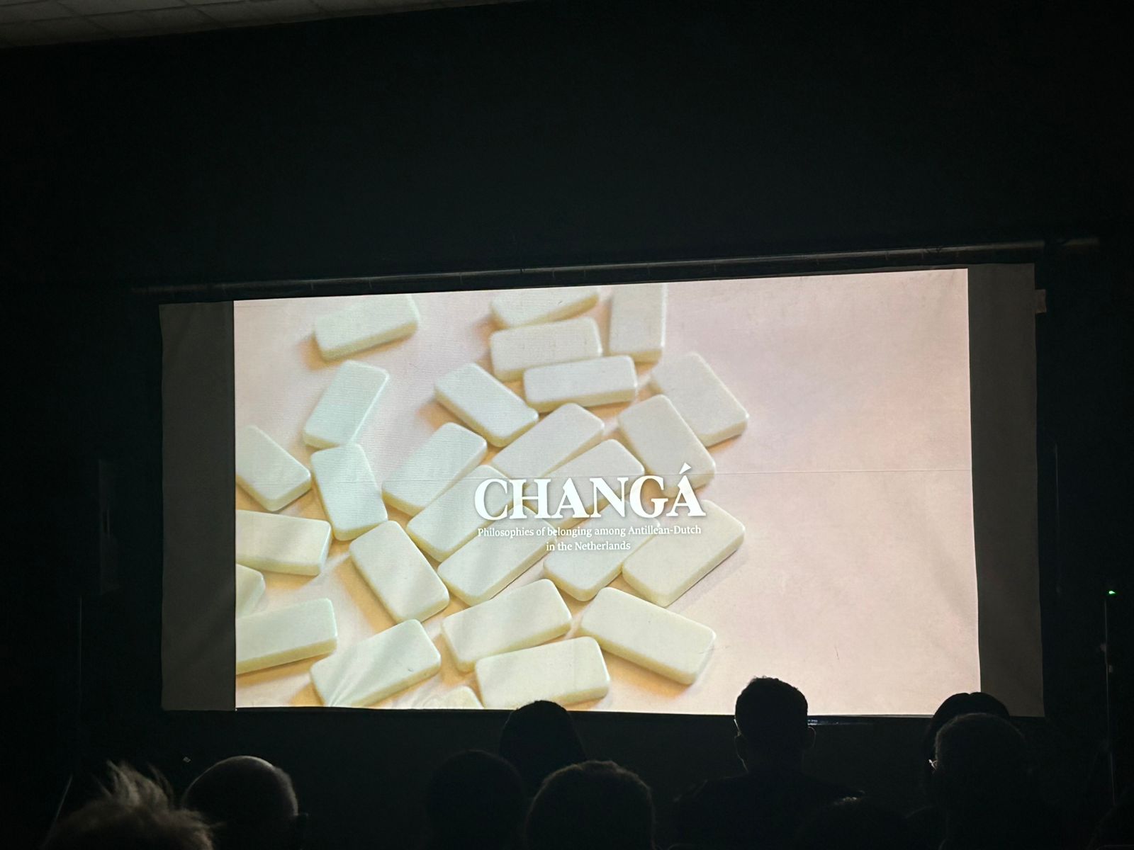 Film Changa Presented At Cas Di Cultura 30 Copy