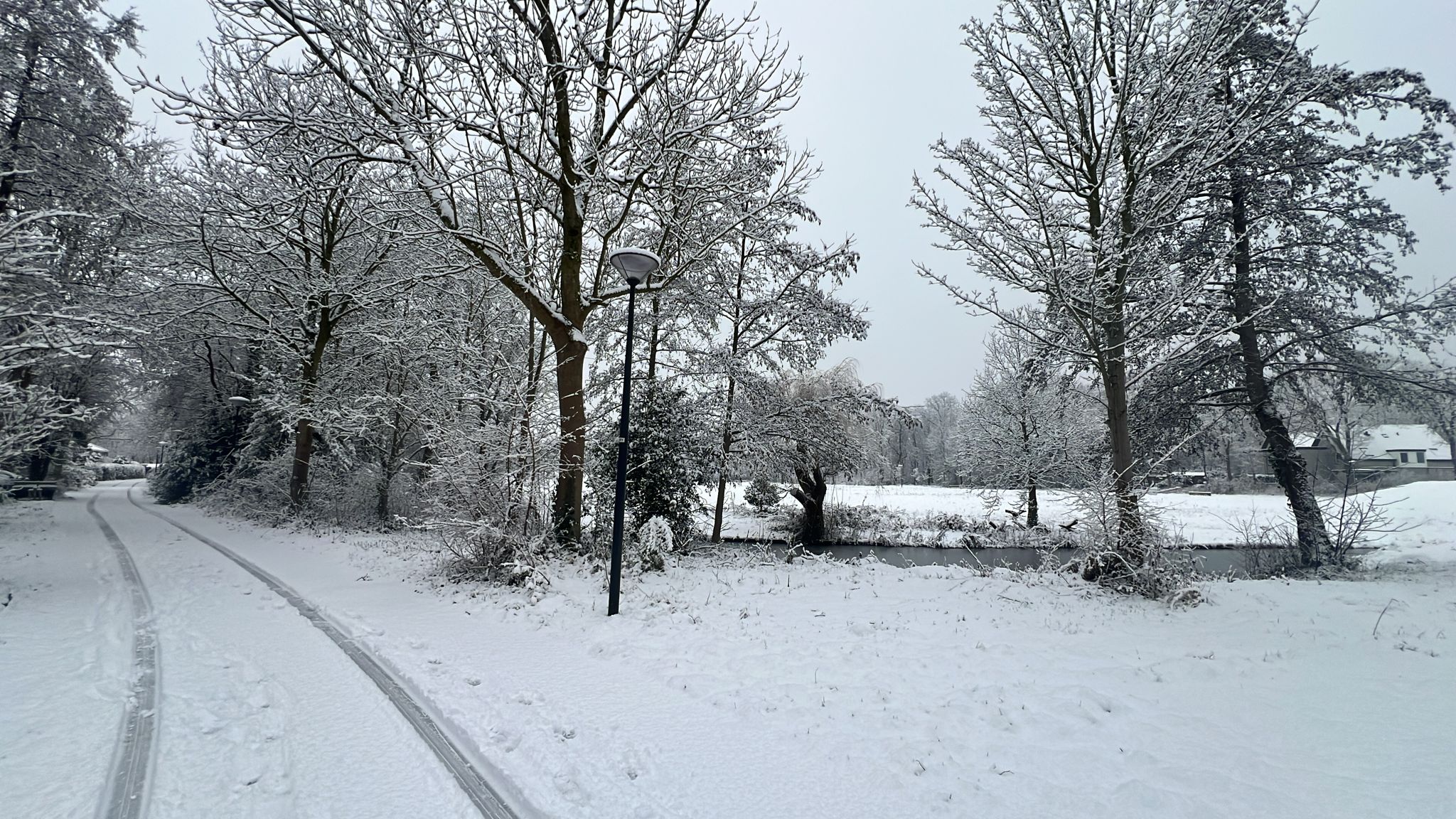 Sneew Na Hulanda 6 1