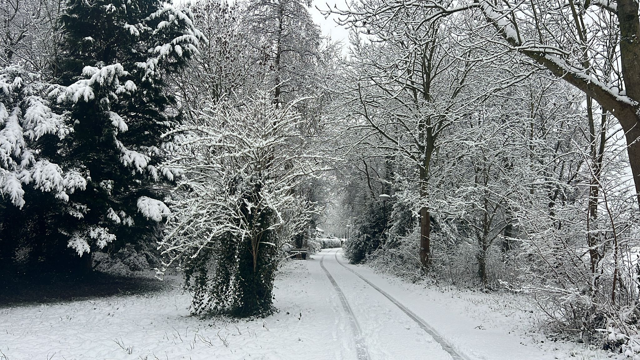 Sneew Na Hulanda 7 1