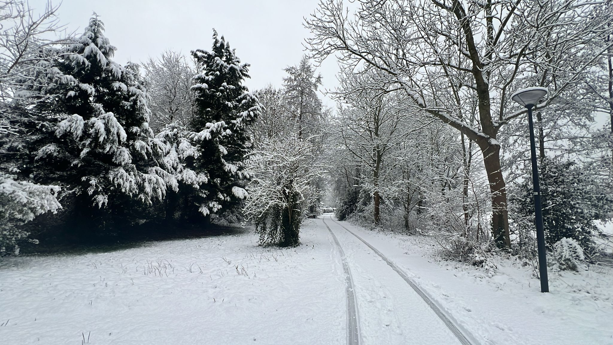 Sneew Na Hulanda 8 1
