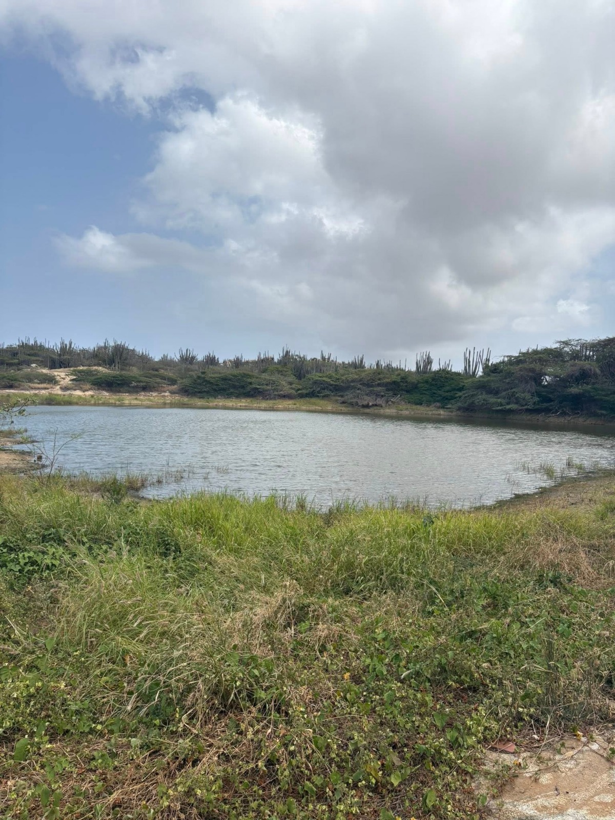 Waste Deposited In Dams Poses A Threat To Public Health 172 Dam 1
