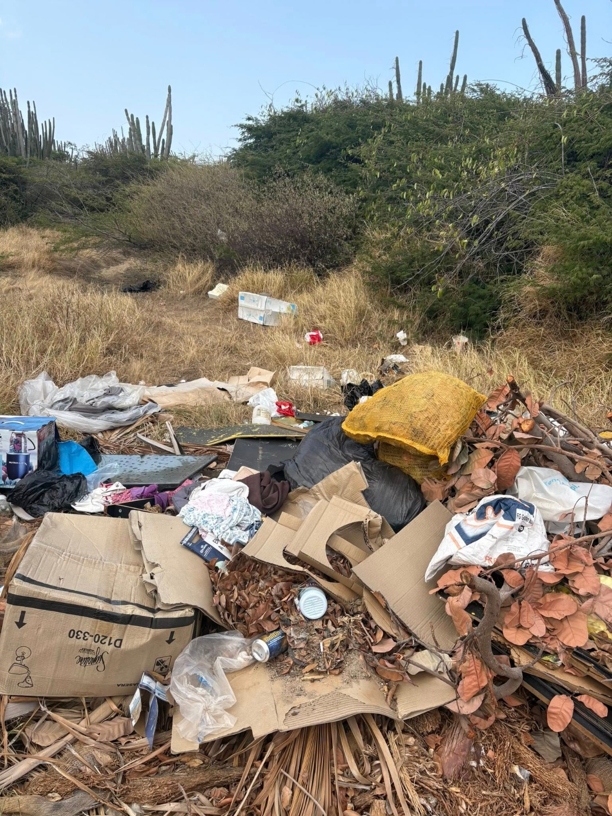 Waste Deposited In Dams Poses A Threat To Public Health 174 Dam 2
