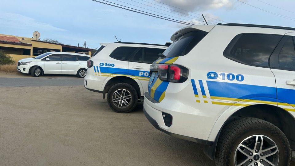 1D9512Db 50B9 40E8 Af33 395E5B209Aab 1