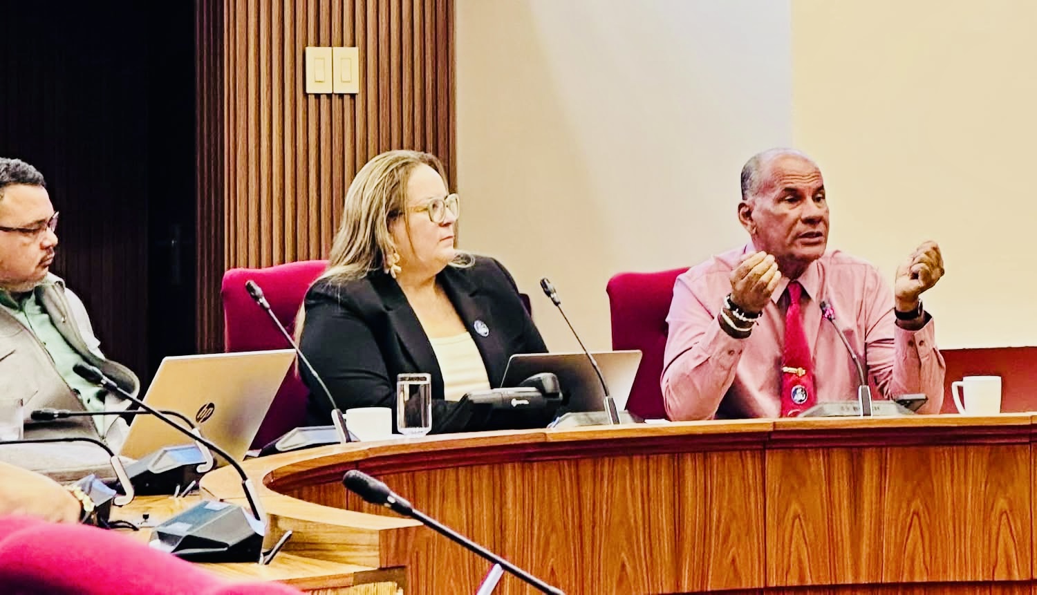 Parliamentarian Shailiny Tromp-Lee: Focus On Sports Vision And Infrastructure Maintenance In Meeting With Asu 178 Asu 3