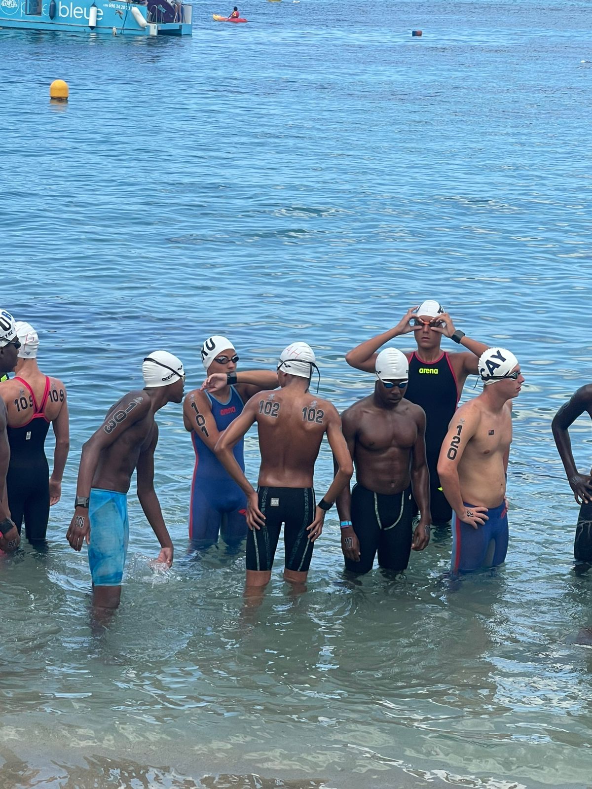 Aruba Aquatics Federation Aaf 2