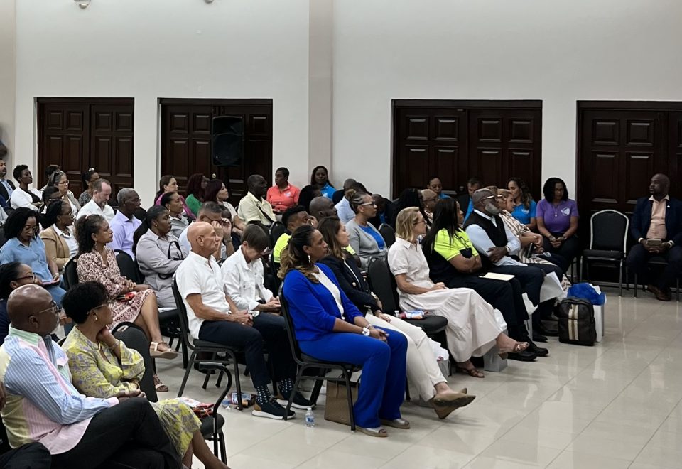 Minister Of Tourism Economic Affairs Transport And Telecommunications Teatt Grisha Heyliger Marten 1