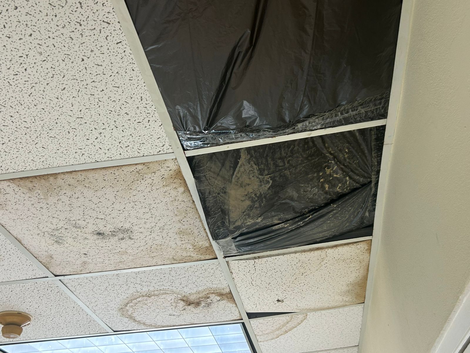 Polisnan Den Departamento Di Rijbewijs Ta Trahando Den Un Situacion Deplorabel Y Inhumano 10