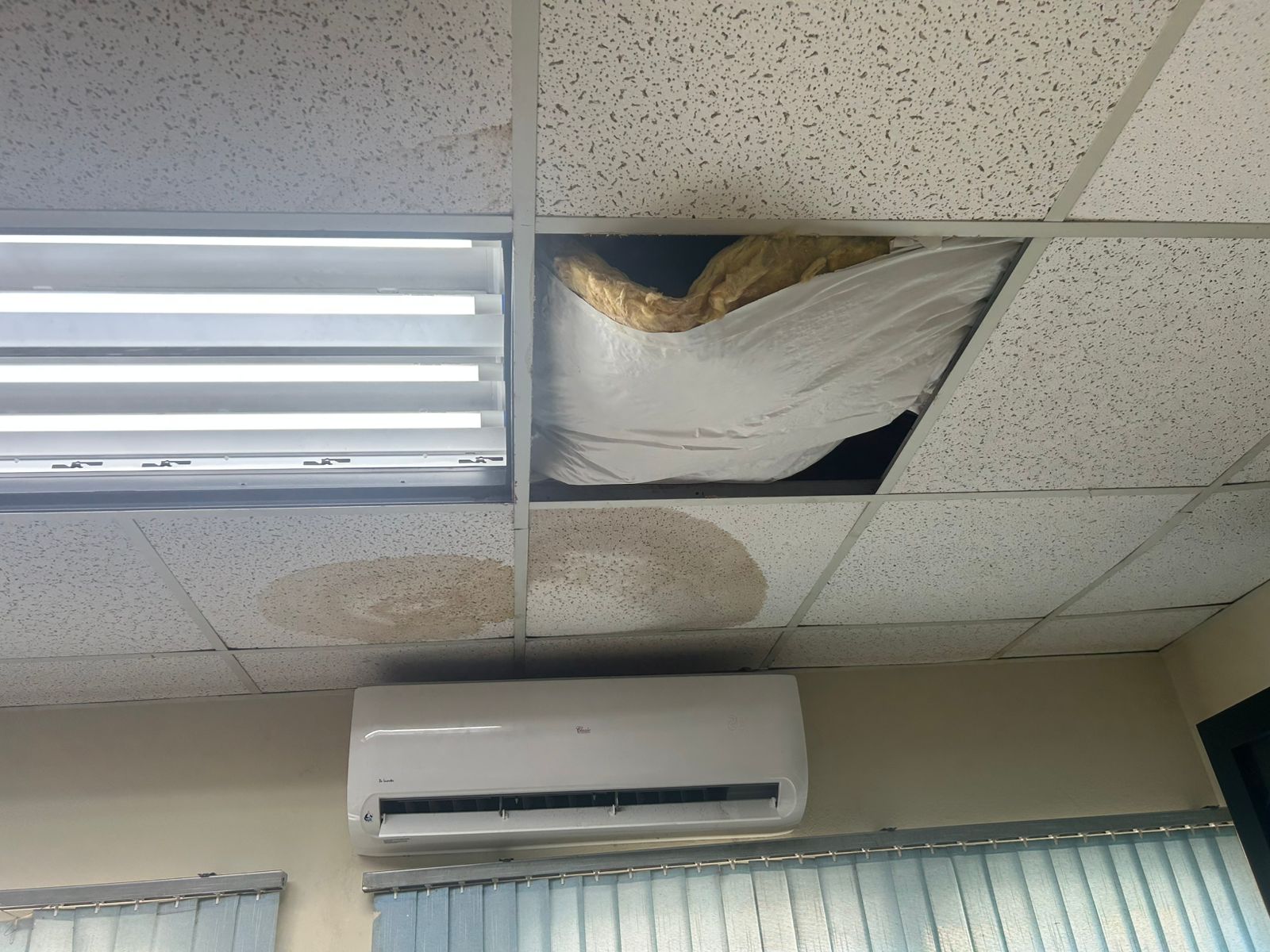 Polisnan Den Departamento Di Rijbewijs Ta Trahando Den Un Situacion Deplorabel Y Inhumano 6