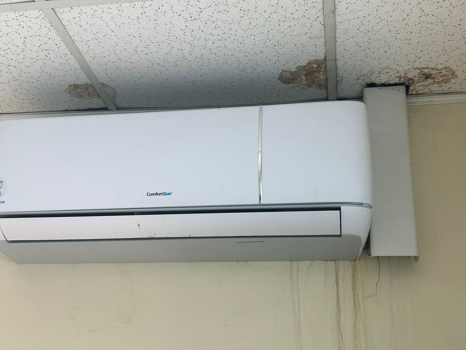 Polisnan Den Departamento Di Rijbewijs Ta Trahando Den Un Situacion Deplorabel Y Inhumano 8