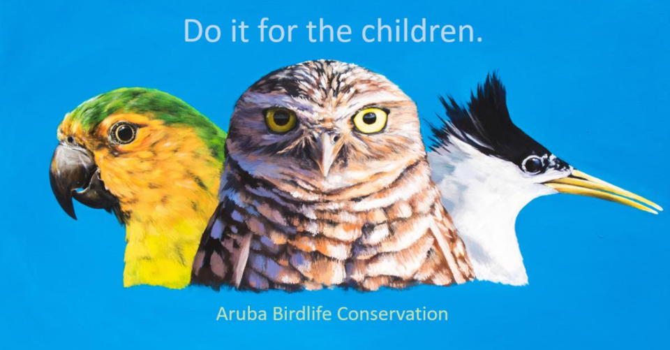 Aruba Birdlife Conservation