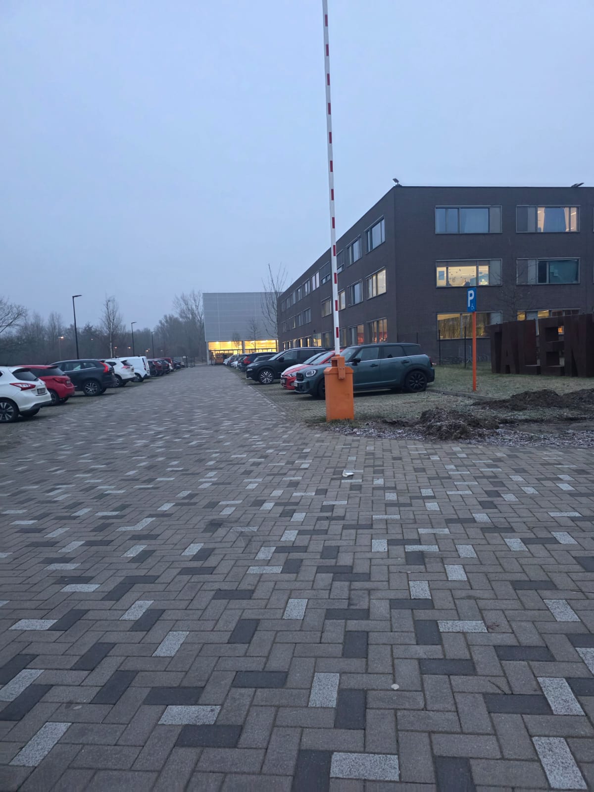 Studiante Di Epi Na Belgica 8
