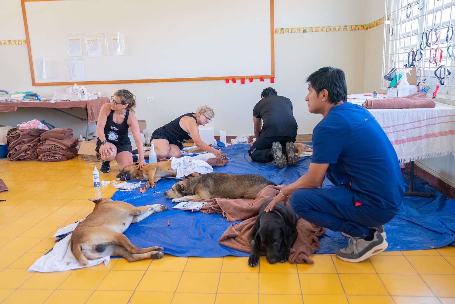 Prime Minister Mike Eman Supports Cat And Dog Sterilization Initiative 173 Dsc00442