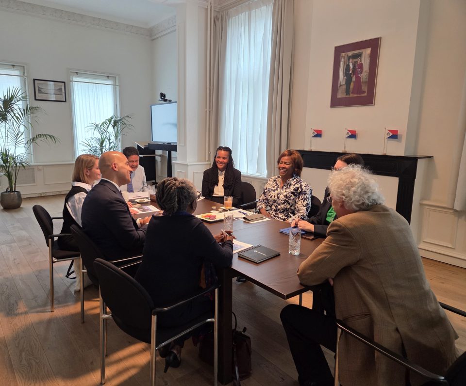Minplen Ga Team Of Experts Democratic Deficit Meeting