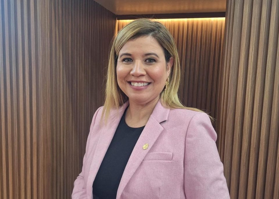Parlamentario Jennifer Arends Reyes
