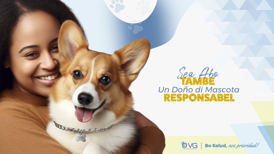 Dvg Dontho Responsabel