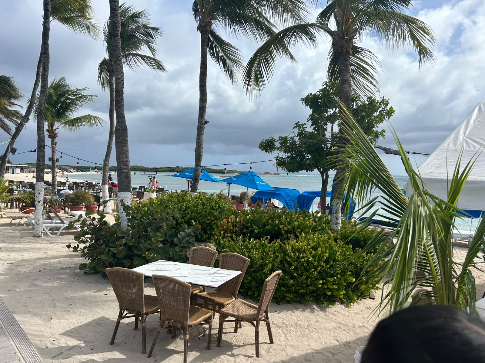 El Abuso En Nuestras Playas Y El Mar Sigue Ocurriendo En Aruba 160 El Abuso En Nuestras Playas Y El Mar Sigue Ocurriendo En Aruba 1
