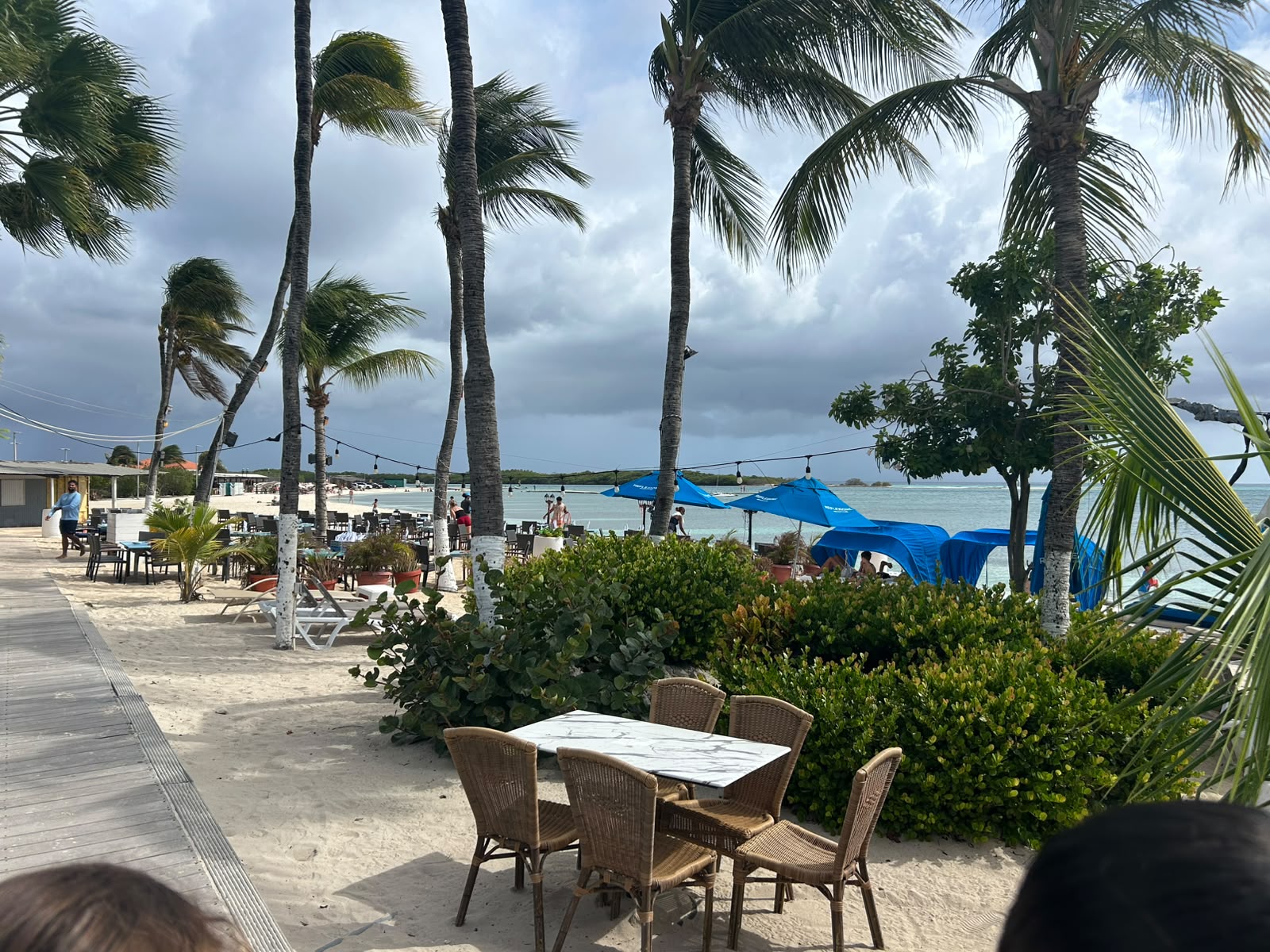 El Abuso En Nuestras Playas Y El Mar Sigue Ocurriendo En Aruba 161 El Abuso En Nuestras Playas Y El Mar Sigue Ocurriendo En Aruba 5