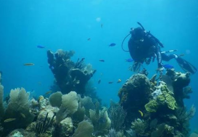 Stress On Our Marine System And Nature, And Building Continues Without Concrete Management And Planning 161 Estres Sobre Nuestro Sistema Marino Y La Naturaleza Y Se Sigue Construyendo Sin Un Manejo Y Plan Concreto 1